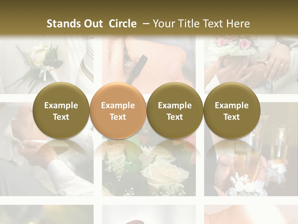 Celebrate Bridal People PowerPoint Template