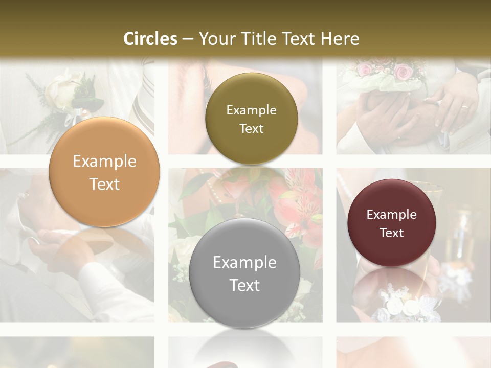 Celebrate Bridal People PowerPoint Template