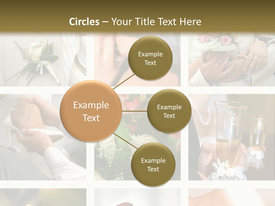 Celebrate Bridal People PowerPoint Template