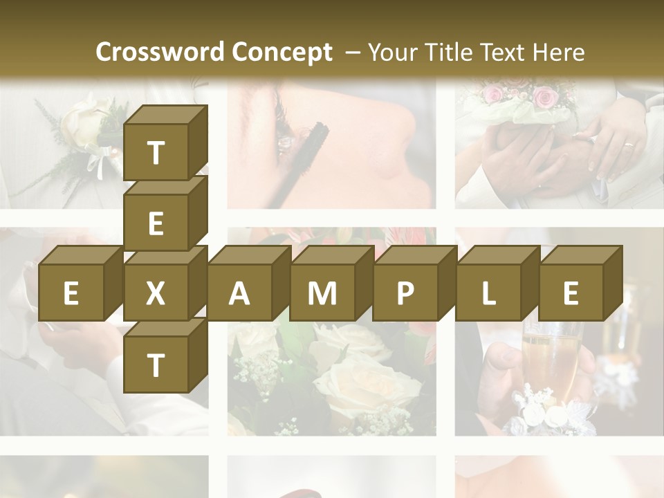 Celebrate Bridal People PowerPoint Template