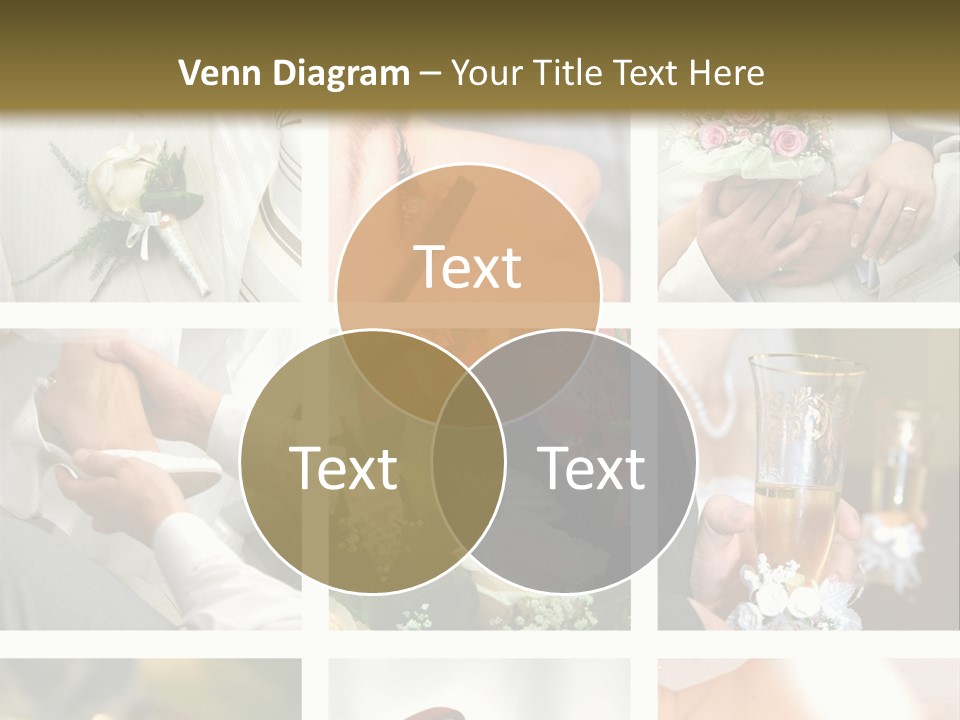 Celebrate Bridal People PowerPoint Template