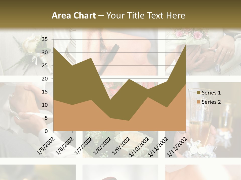 Celebrate Bridal People PowerPoint Template