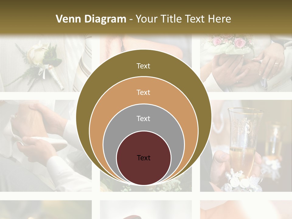 Celebrate Bridal People PowerPoint Template