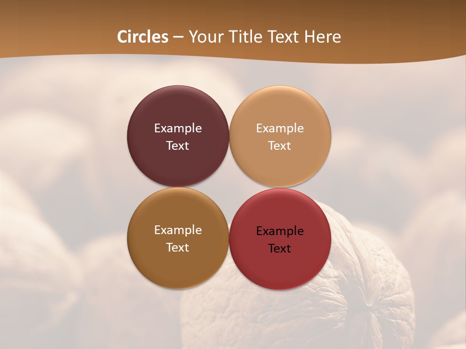 Foodstuff Macro Kernel PowerPoint Template