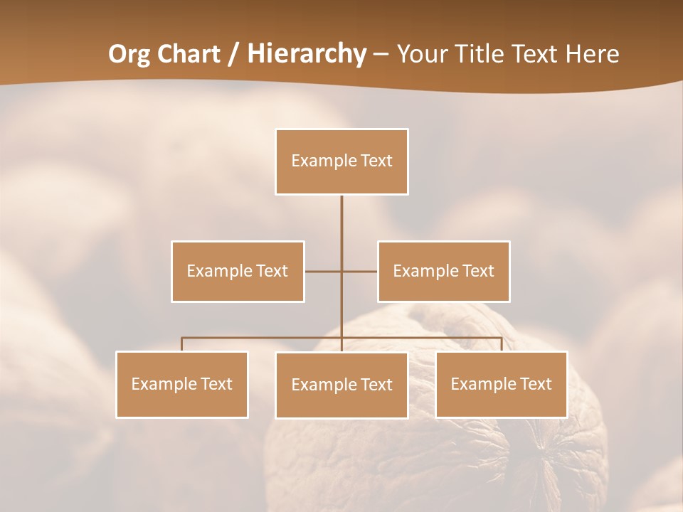 Foodstuff Macro Kernel PowerPoint Template