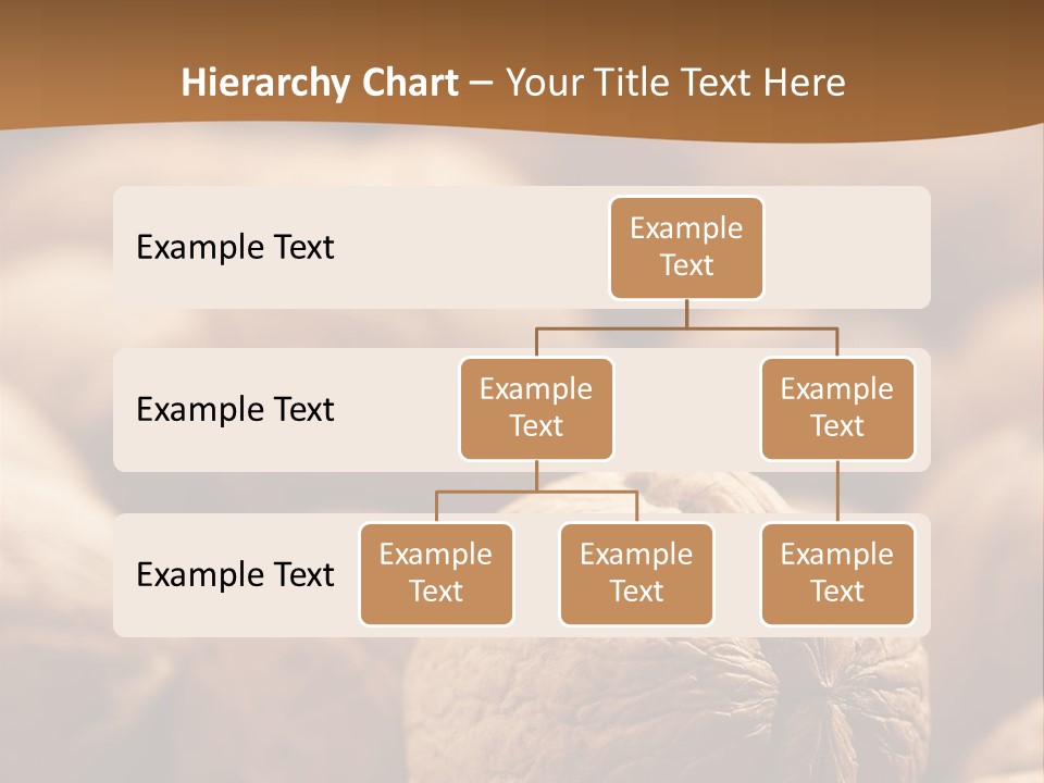 Foodstuff Macro Kernel PowerPoint Template