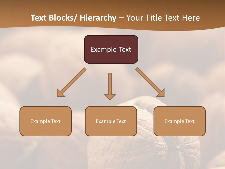 Foodstuff Macro Kernel PowerPoint Template