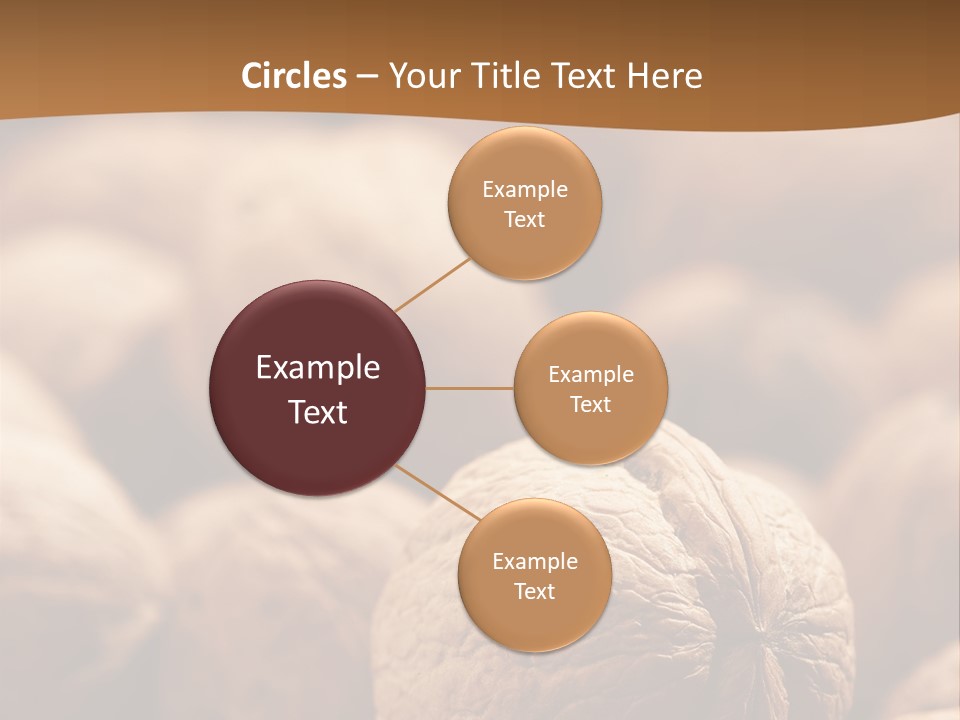 Foodstuff Macro Kernel PowerPoint Template