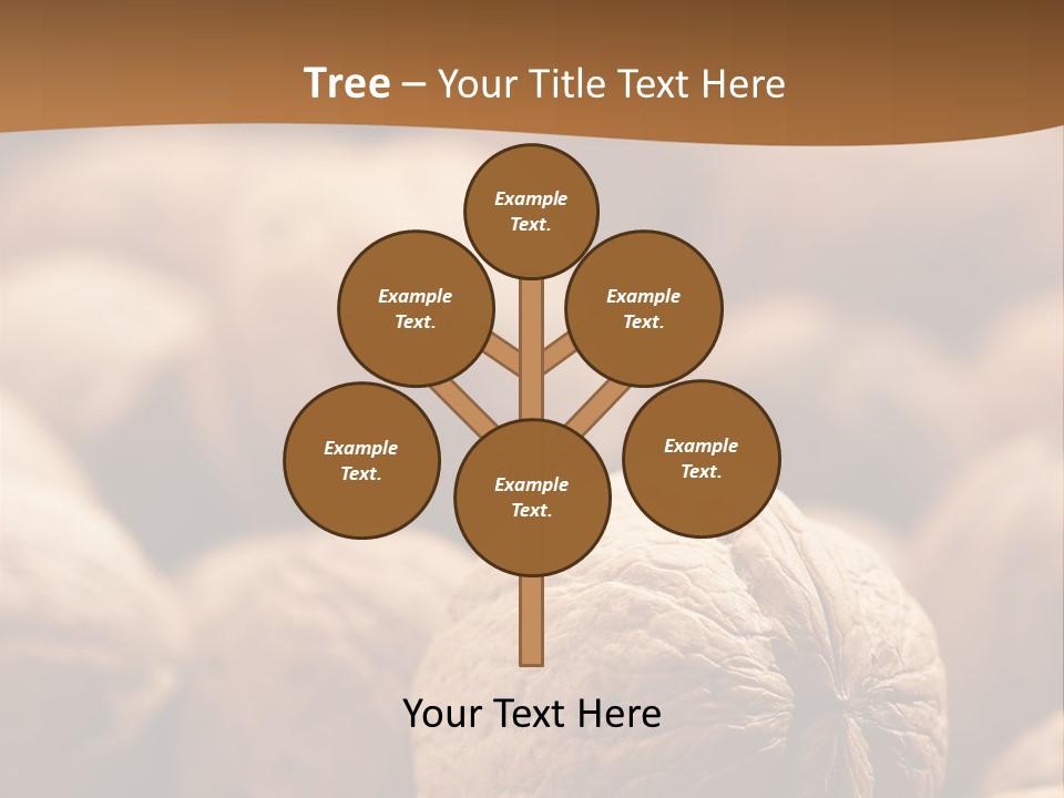 Foodstuff Macro Kernel PowerPoint Template