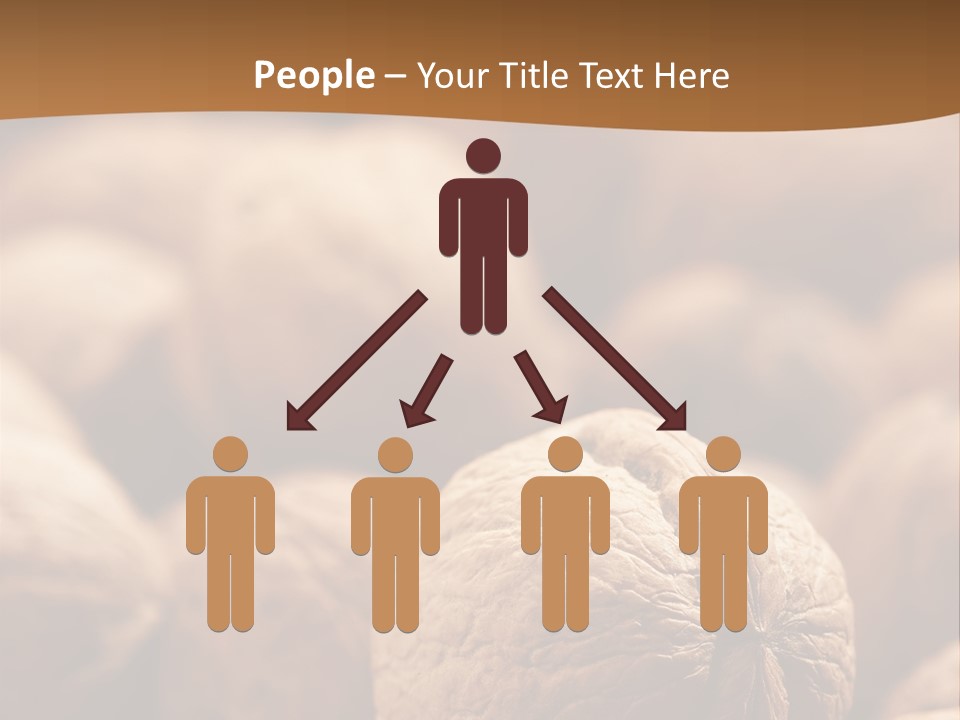 Foodstuff Macro Kernel PowerPoint Template