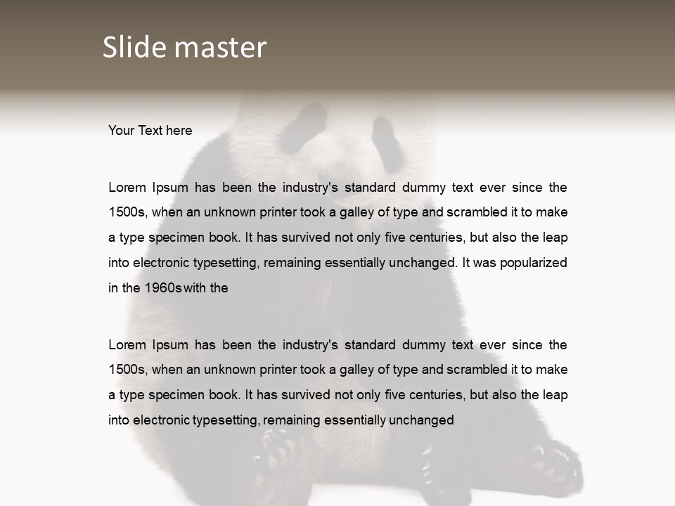 Creature White White Background PowerPoint Template