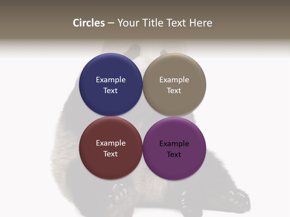 Creature White White Background PowerPoint Template