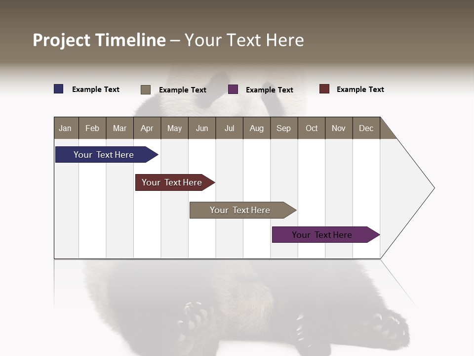 Creature White White Background PowerPoint Template