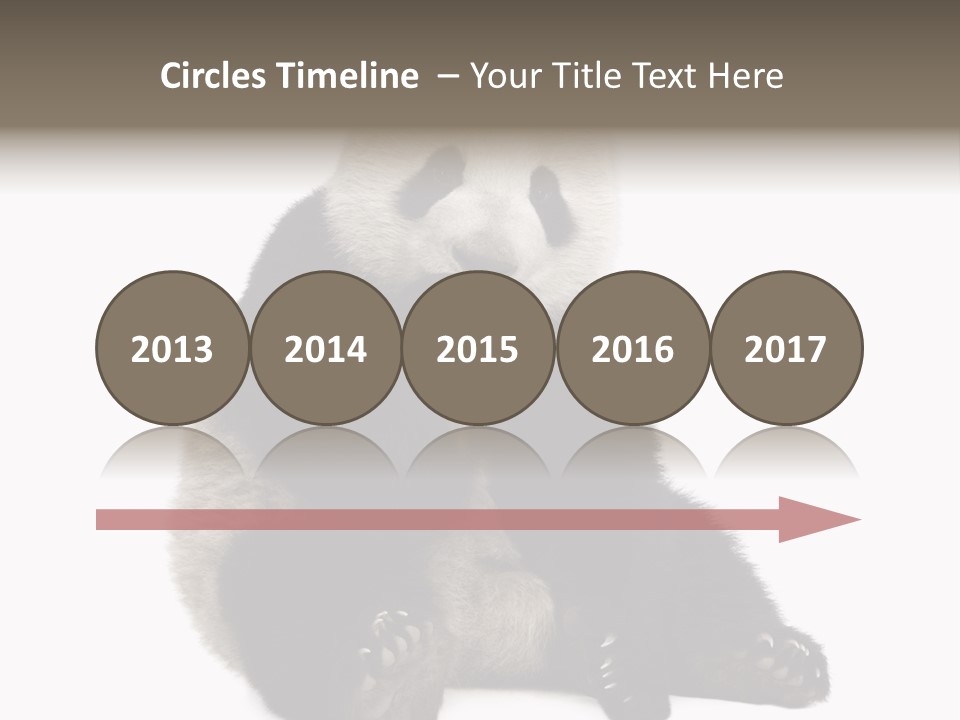 Creature White White Background PowerPoint Template