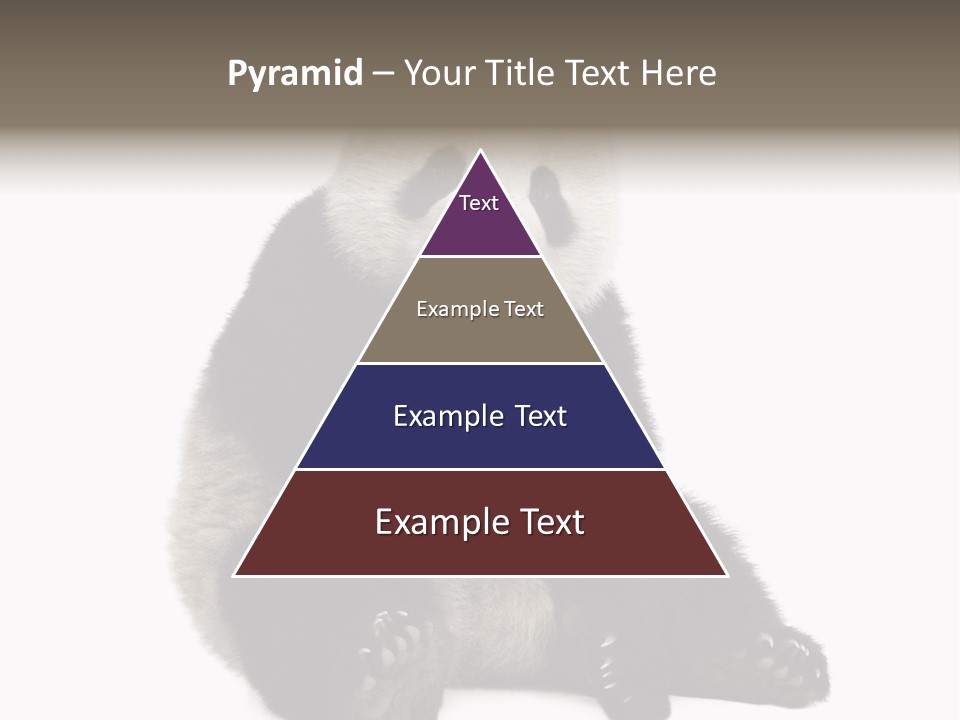 Creature White White Background PowerPoint Template