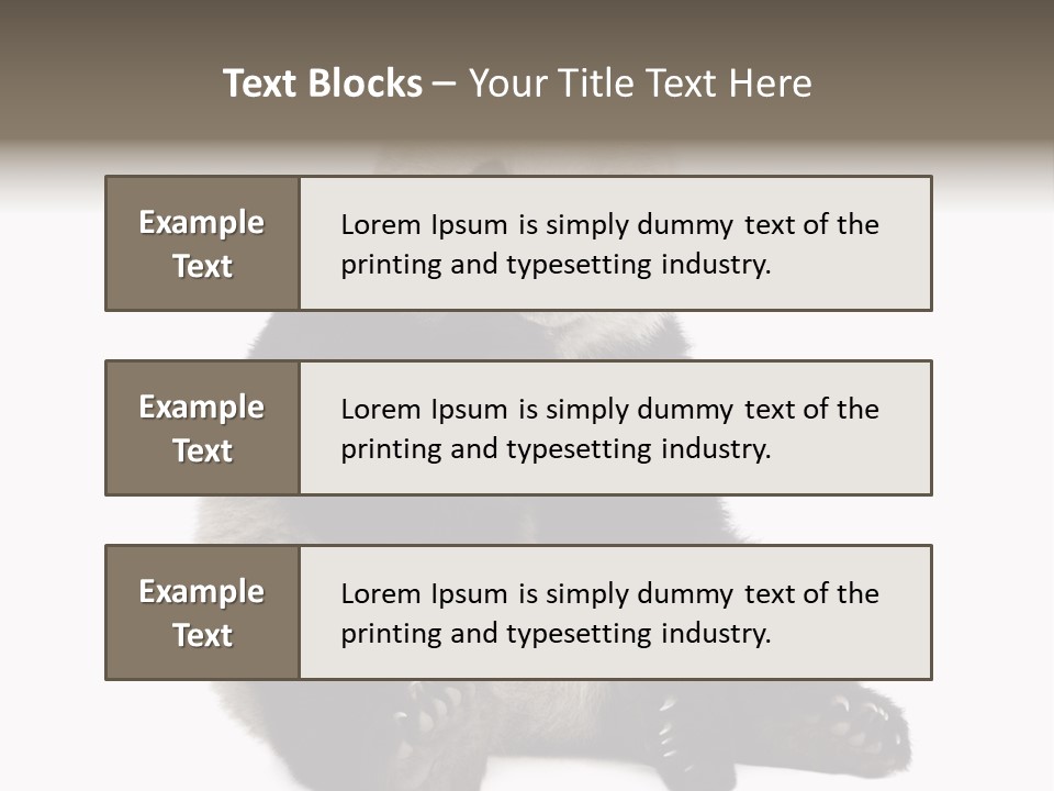 Creature White White Background PowerPoint Template