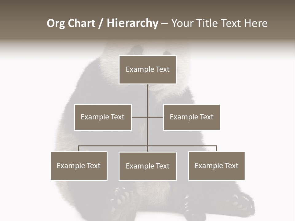 Creature White White Background PowerPoint Template