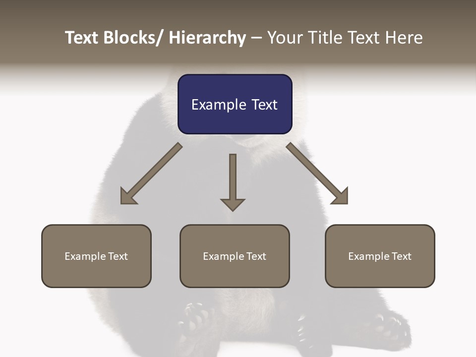 Creature White White Background PowerPoint Template