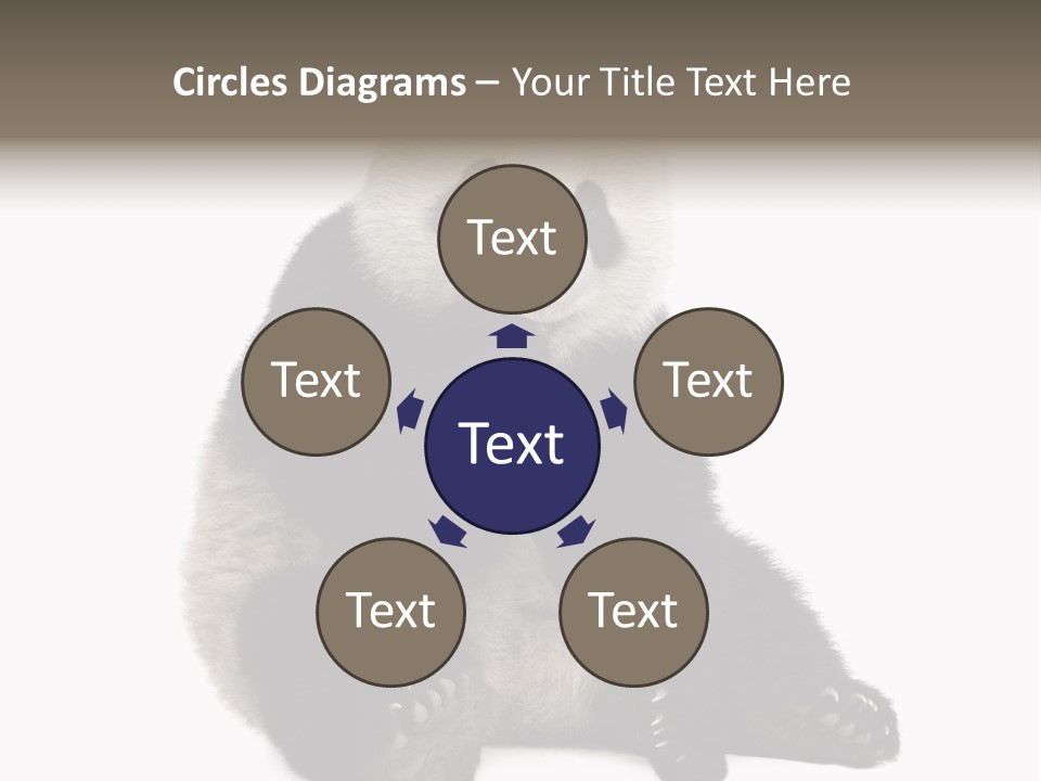 Creature White White Background PowerPoint Template