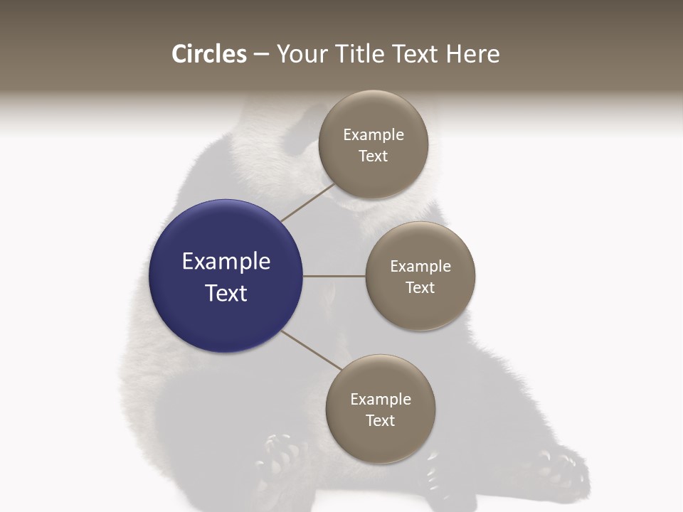 Creature White White Background PowerPoint Template