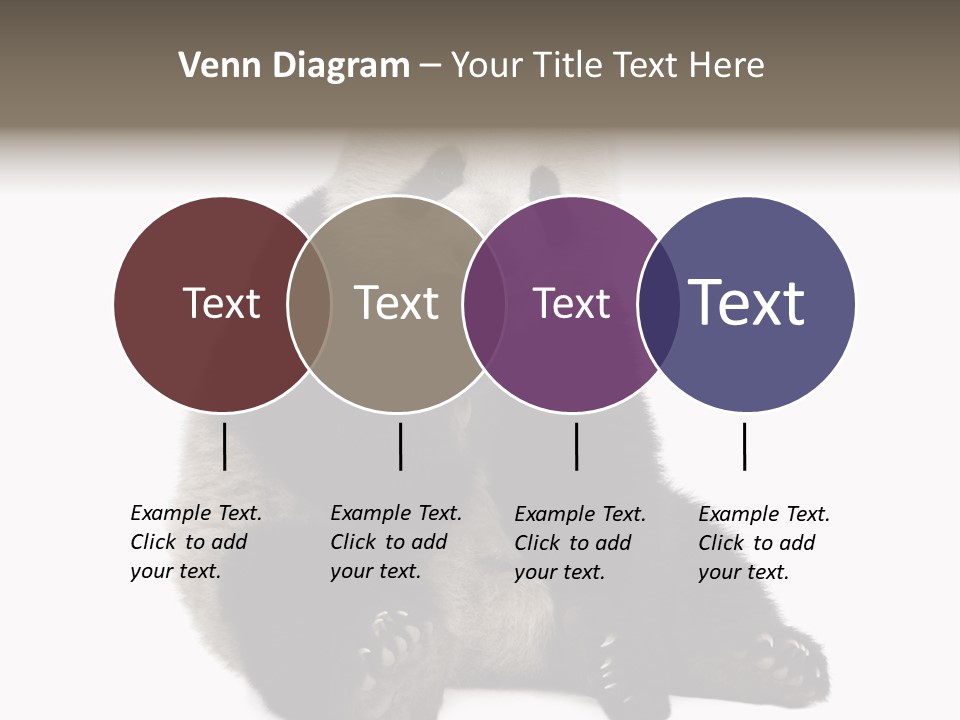 Creature White White Background PowerPoint Template