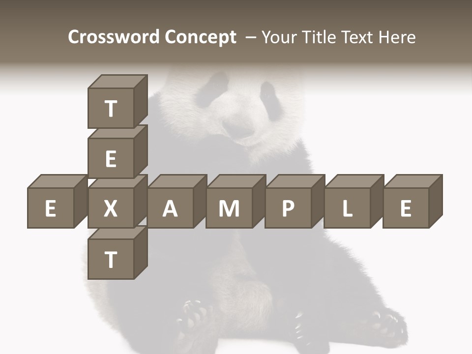 Creature White White Background PowerPoint Template