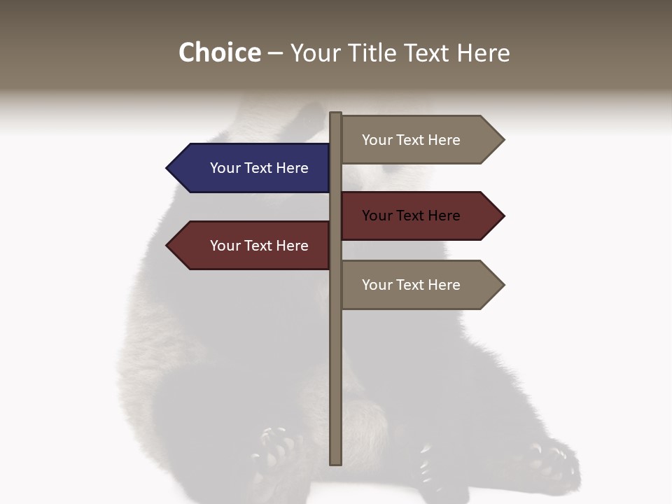 Creature White White Background PowerPoint Template