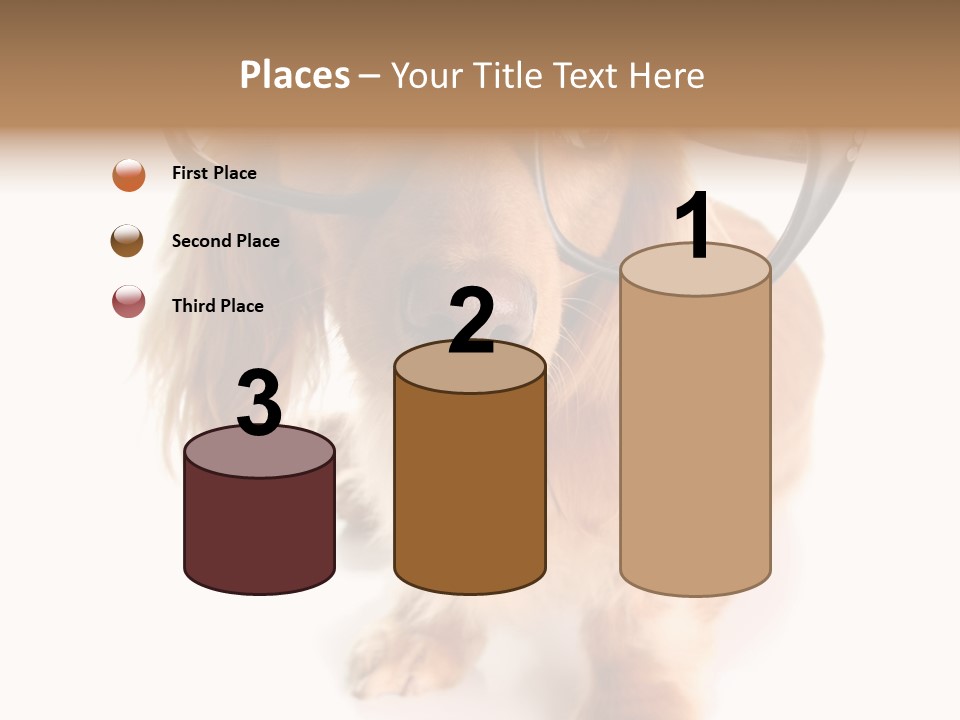 Kindergarten Dachshund Puppy PowerPoint Template