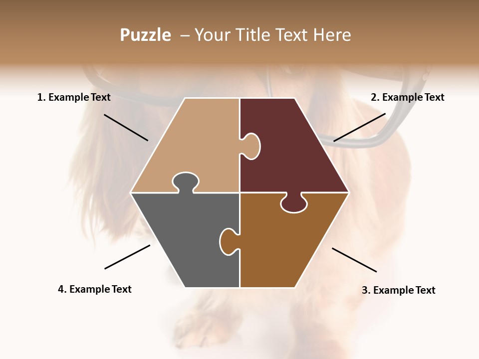 Kindergarten Dachshund Puppy PowerPoint Template