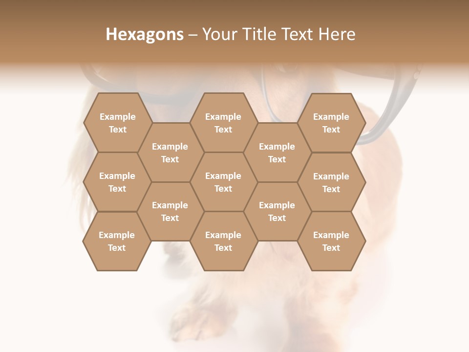 Kindergarten Dachshund Puppy PowerPoint Template