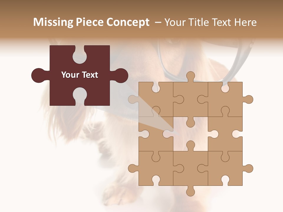 Kindergarten Dachshund Puppy PowerPoint Template