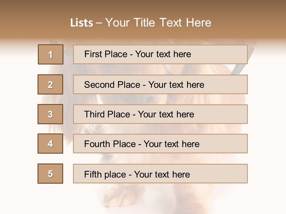 Kindergarten Dachshund Puppy PowerPoint Template