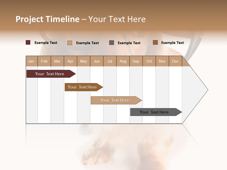Kindergarten Dachshund Puppy PowerPoint Template