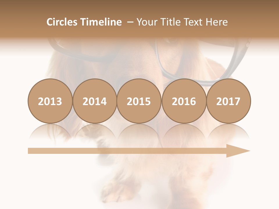 Kindergarten Dachshund Puppy PowerPoint Template