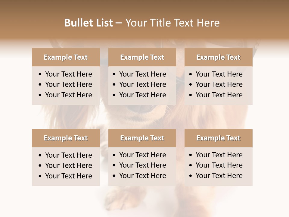 Kindergarten Dachshund Puppy PowerPoint Template