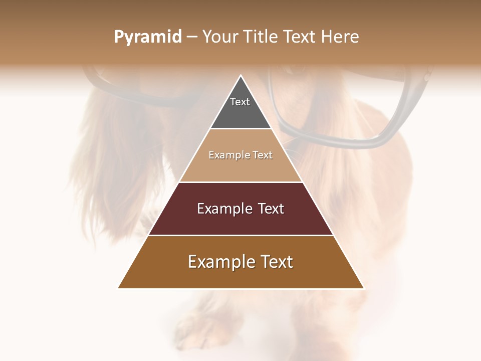 Kindergarten Dachshund Puppy PowerPoint Template