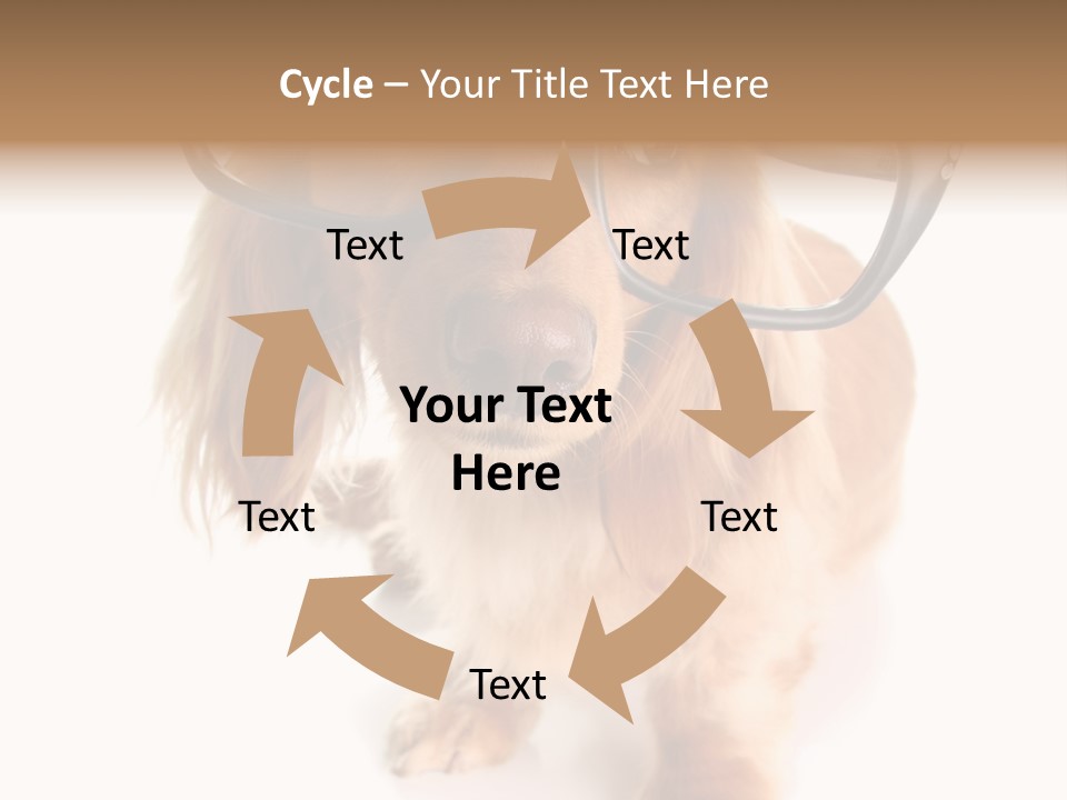 Kindergarten Dachshund Puppy PowerPoint Template