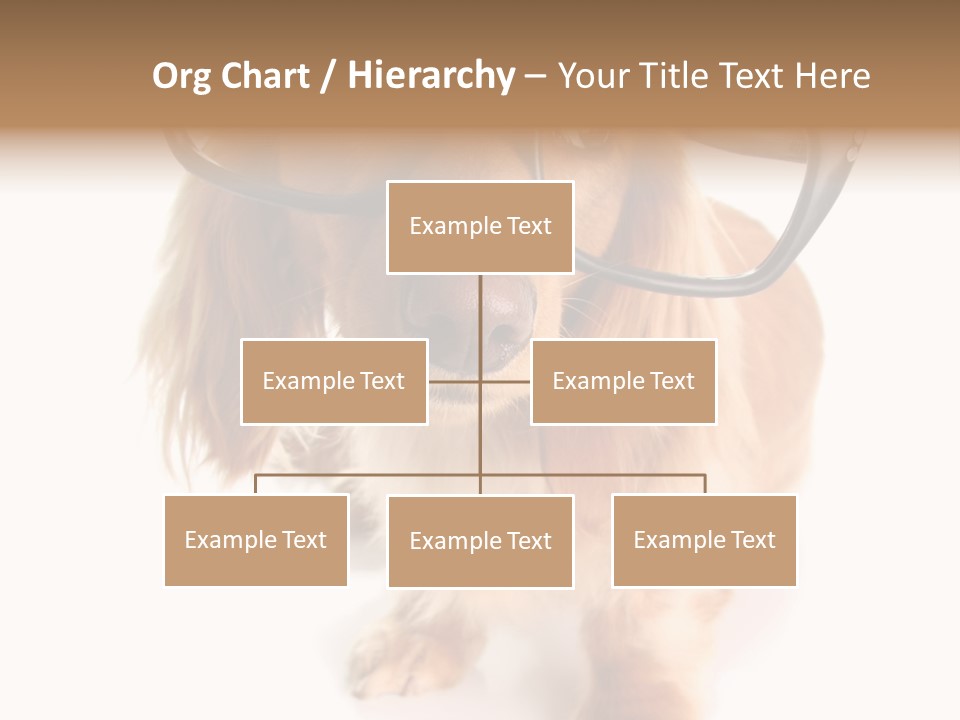 Kindergarten Dachshund Puppy PowerPoint Template