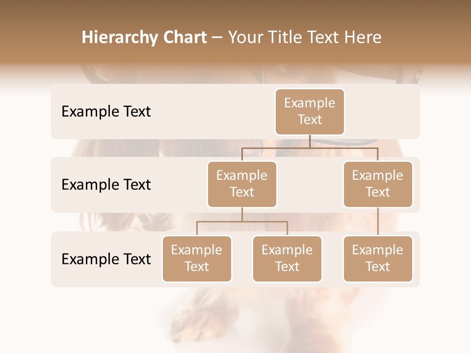 Kindergarten Dachshund Puppy PowerPoint Template