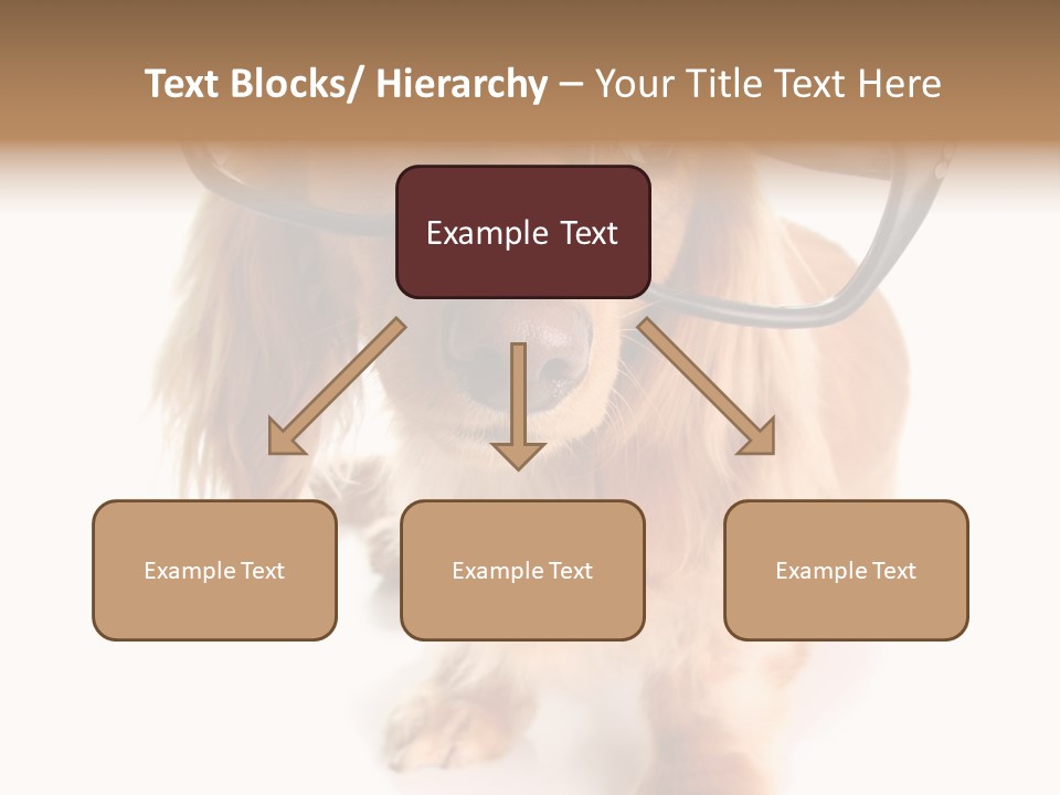 Kindergarten Dachshund Puppy PowerPoint Template