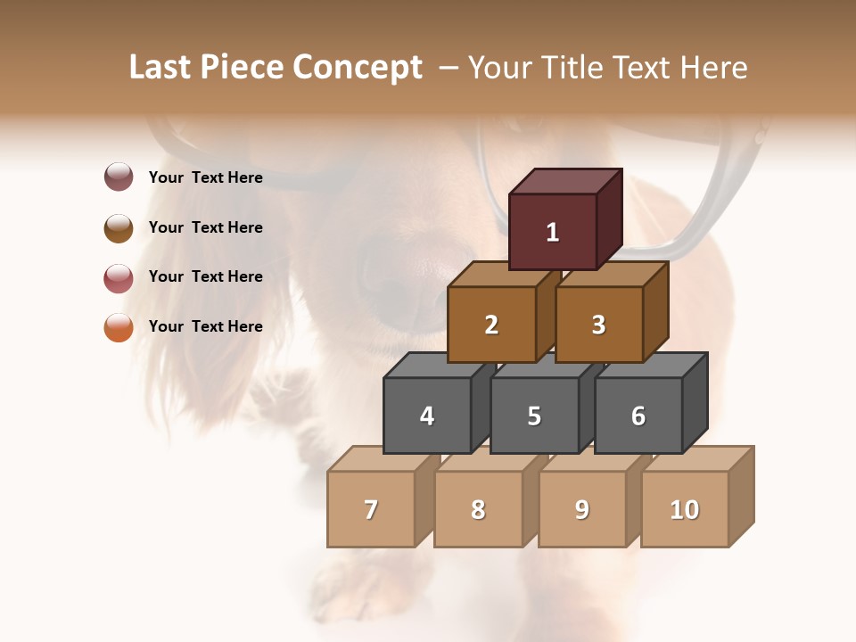 Kindergarten Dachshund Puppy PowerPoint Template