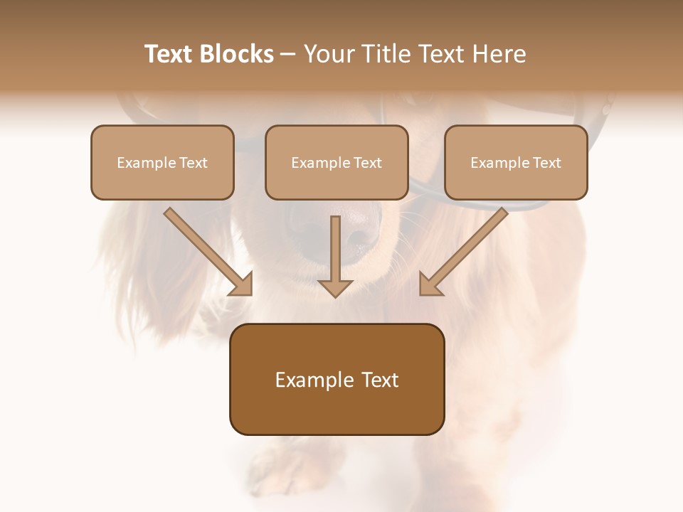Kindergarten Dachshund Puppy PowerPoint Template