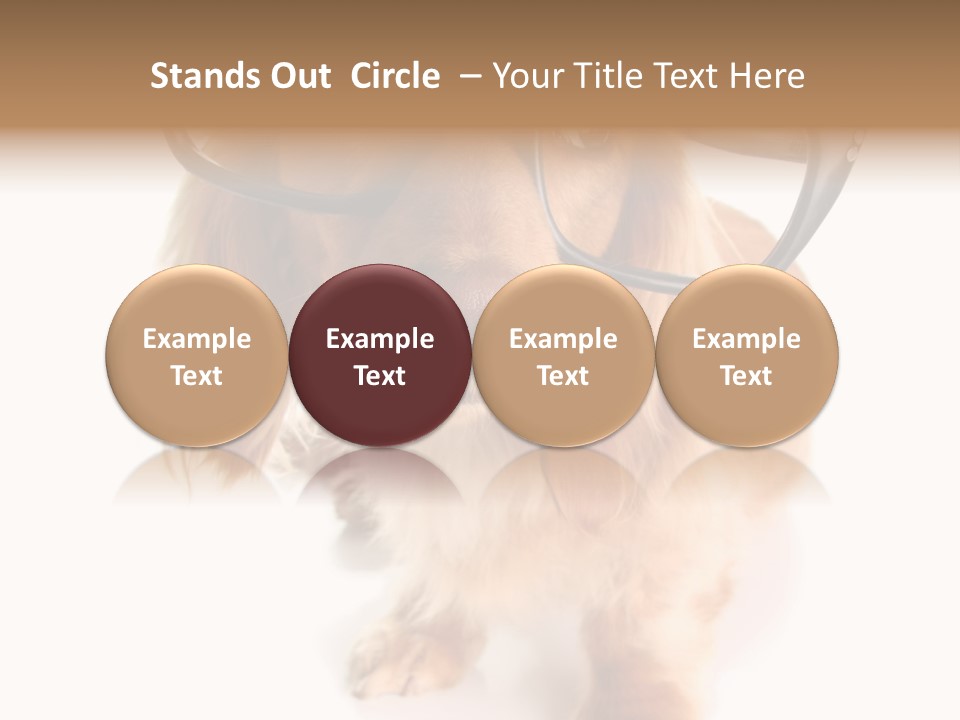 Kindergarten Dachshund Puppy PowerPoint Template