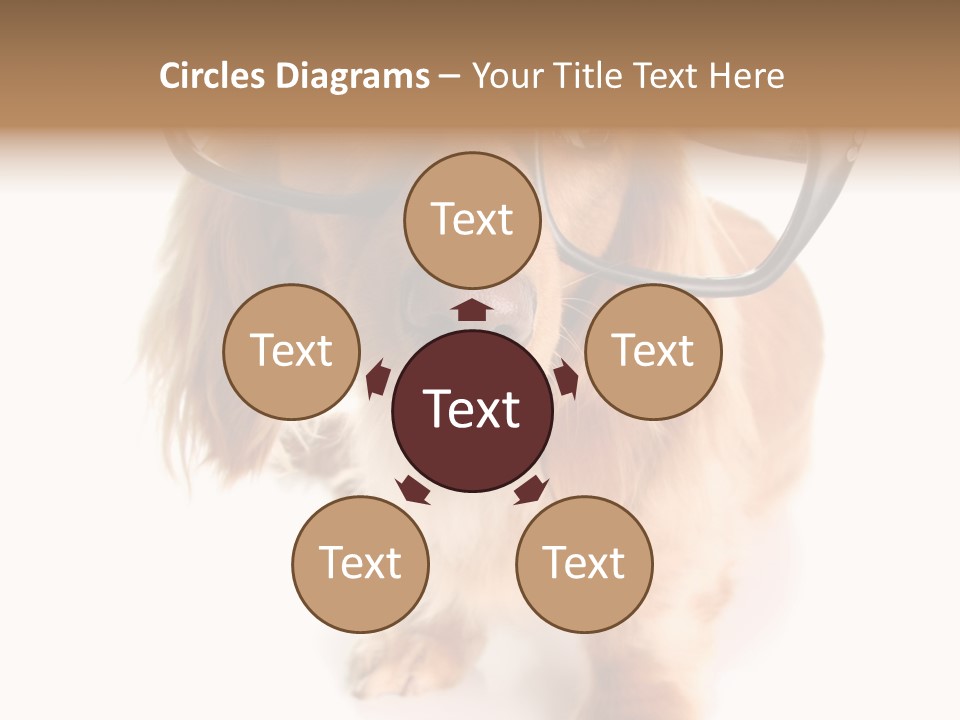 Kindergarten Dachshund Puppy PowerPoint Template