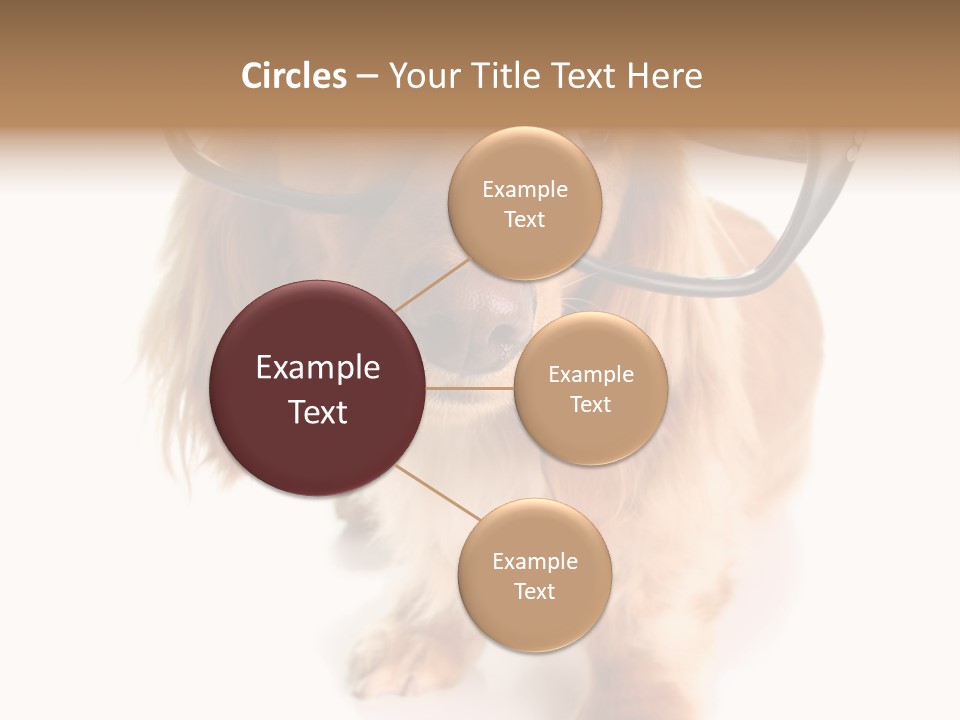 Kindergarten Dachshund Puppy PowerPoint Template