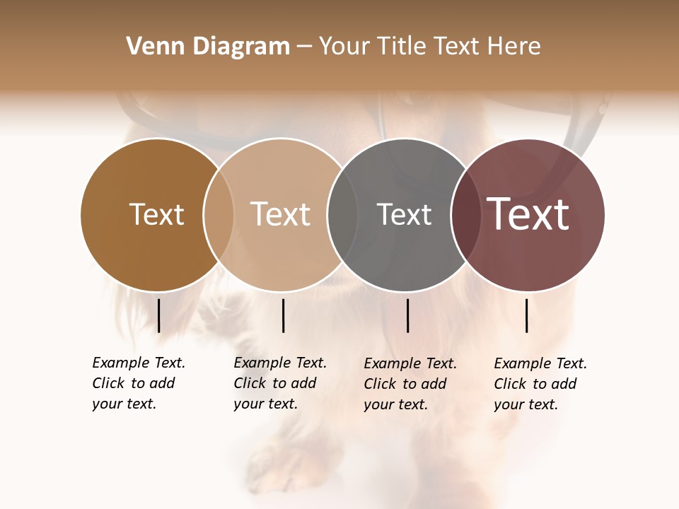 Kindergarten Dachshund Puppy PowerPoint Template