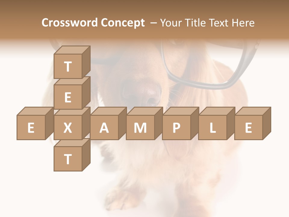 Kindergarten Dachshund Puppy PowerPoint Template