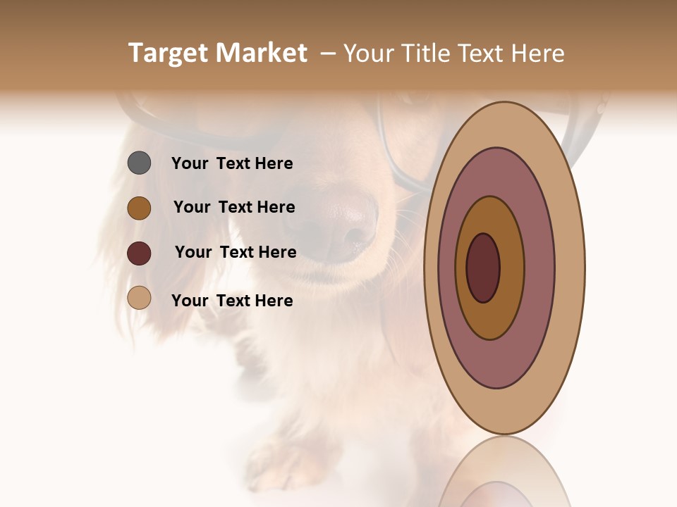 Kindergarten Dachshund Puppy PowerPoint Template