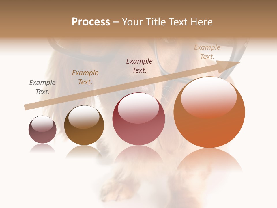 Kindergarten Dachshund Puppy PowerPoint Template