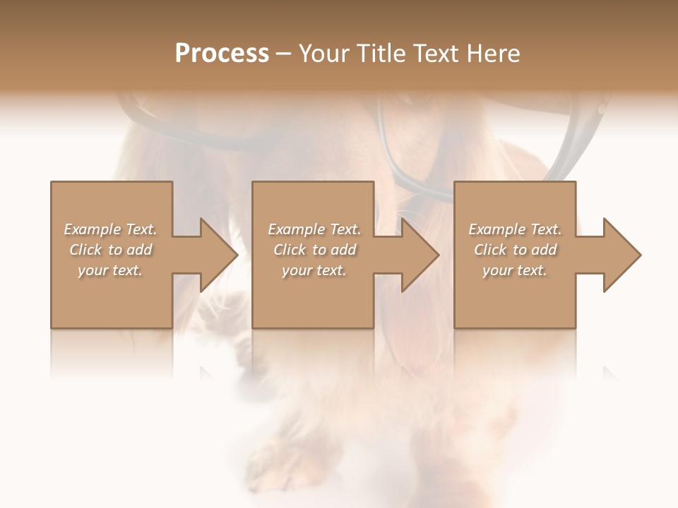 Kindergarten Dachshund Puppy PowerPoint Template